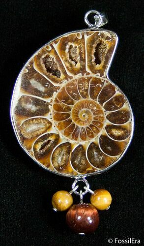 Ammonite Pendant #2590